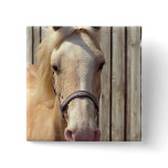 Palomino Pony Square Pin