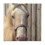 Palomino Pony Tile