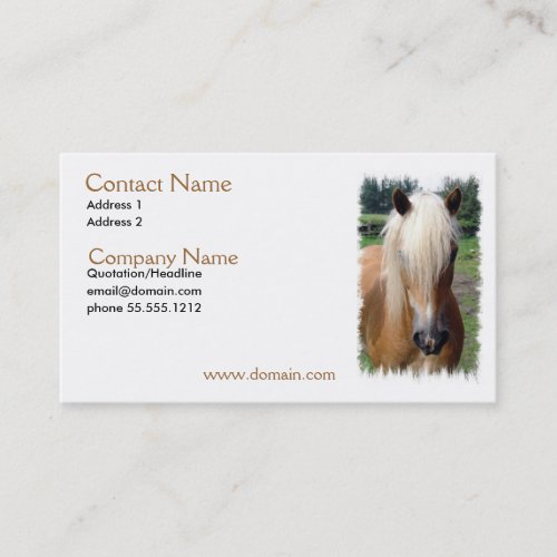 Palomino Quarter Horse Business Card
