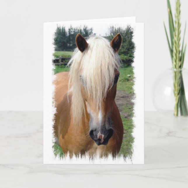 Palomino Quarter Horse Greeting Card (Front)