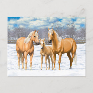 Palomino Quarter Horses In Snow Postcard