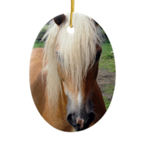 Palomino Quaterhorse Ornament
