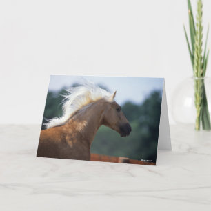 Palomino Rocky Mountain Horse Headshot Card