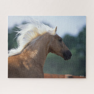 Palomino Rocky Mountain Horse Headshot Jigsaw Puzzle