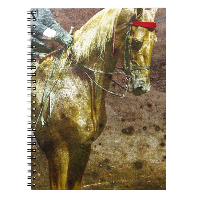 Palomino Saddleseat Grunge Notebook (Front)