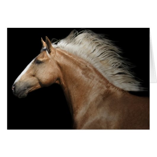 Palomino Stallion Cards (Front Horizontal)