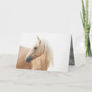 Palomino Stallion Turns Horse Greeting Card