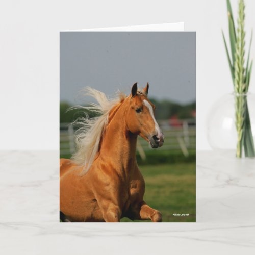 Palomino Tennesee Walking Horse Stallion Card