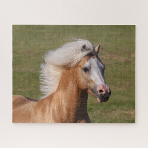 Palomino Welsh Pony Headhot Mane Flowing Jigsaw Puzzle