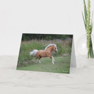Palomino Welsh Pony Stallion Running Card