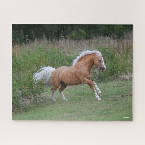 Palomino Welsh Pony Stallion Running Jigsaw Puzzle