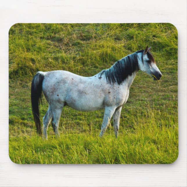 Palouse horse, Colfax, Palouse Area, Washington Mouse Pad (Front)