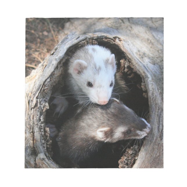 Pals Notepad (Front)