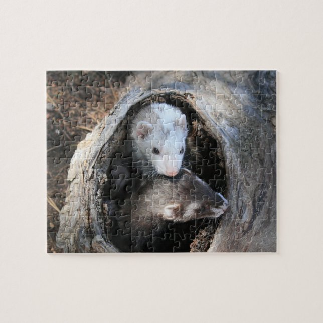 Pals Puzzle (Horizontal)