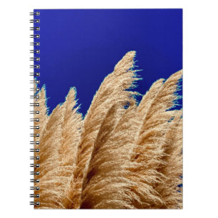 Pampas and Sky Notebook 