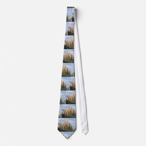 pampas grass and blue sky tie