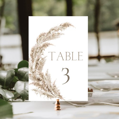 Pampas Grass Boho Table Number