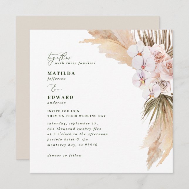 Pampas grass dessert natural dried botanical (Front/Back)