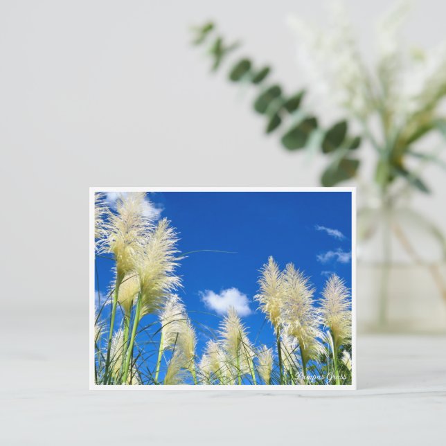 Pampas Grass Postcard (Standing Front)