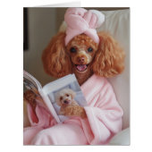 Pampered Poodle Reading Day (Front)