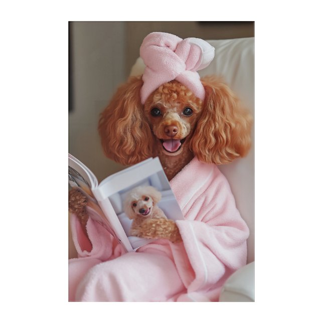Pampered Poodle Reading Day Acrylic Print (Front)