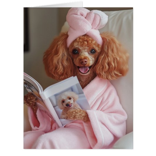 Pampered Poodle Reading Day Cards (Front)