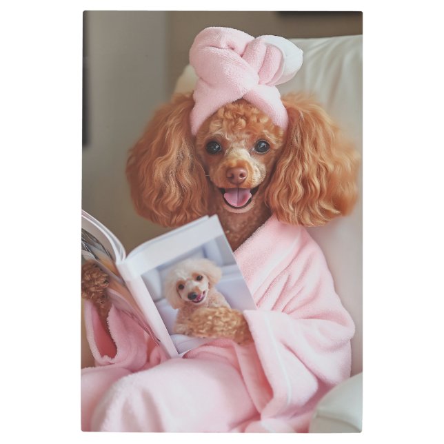 Pampered Poodle Reading Day Metal Print (Front)