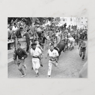 Pamplona Spain Running of the Bulls Postcard