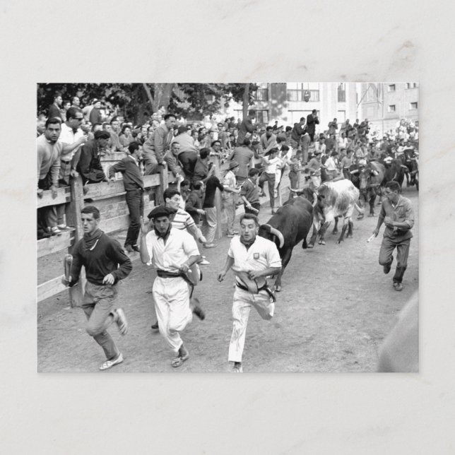 Pamplona Spain Running of the Bulls Postcard (Front)
