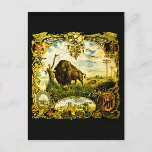 Pan Am Expo with Bison and Native American Motifs Postcard
