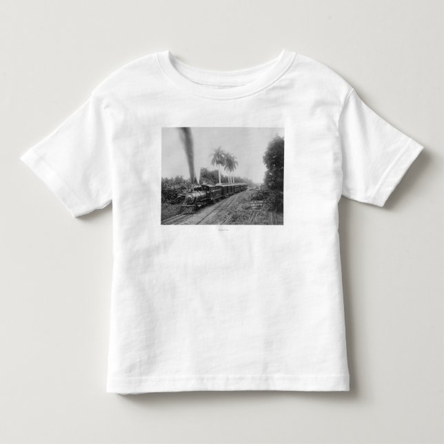 Pan American Central Railroad in Guatemala Toddler T-shirt (Front)
