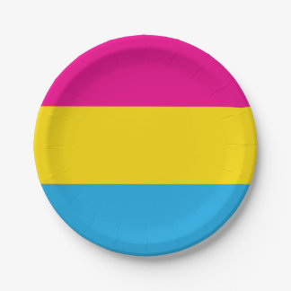 Pan Flag Paper Plates