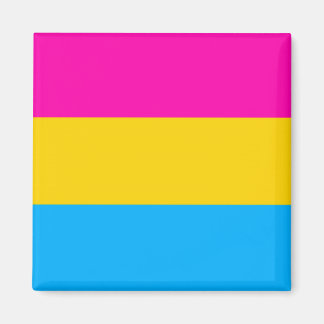 Pan pride flag magnet