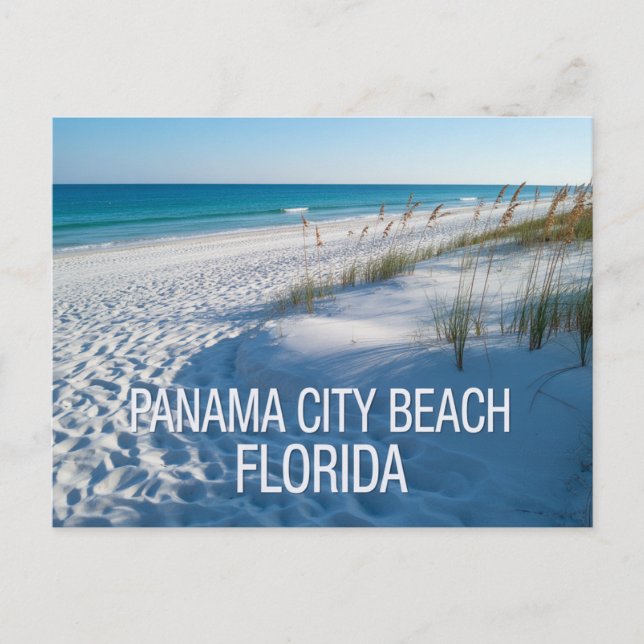 Panama City Beach Florida  Postcard (Front)