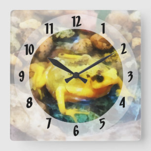 Panamanian Golden Frog Square Wall Clock