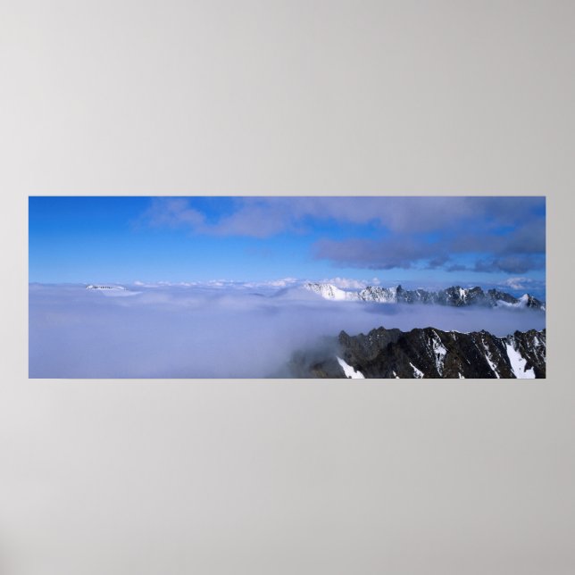 Panarama 14 poster (Front)