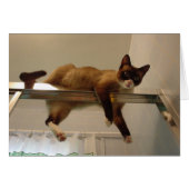 Pancake Card (Front Horizontal)