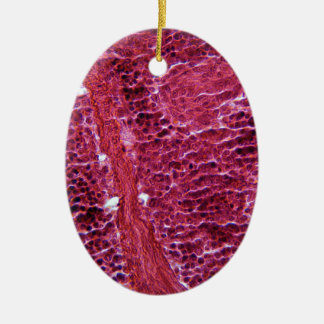 Pancreas Cells under the Microscope Ceramic Ornament
