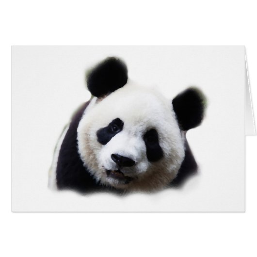 Panda (Front Horizontal)