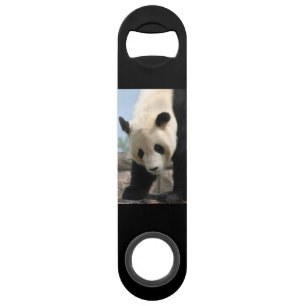 Panda20170506_by_JAMFoto Speed Bottle Opener