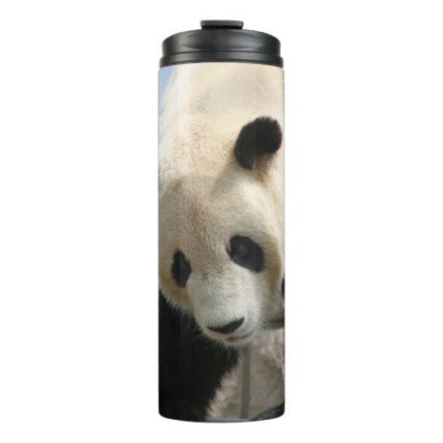 Panda20170506_by_JAMFoto Thermal Tumbler