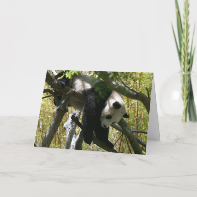 Panda #4 card (Front)