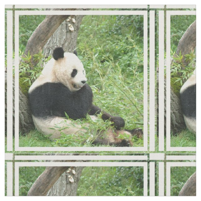 panda-4.jpg fabric (Close Up)
