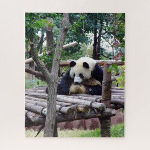 Panda advice - No depression, if you funny "bear" Jigsaw Puzzle