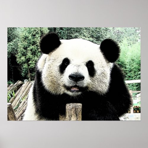 Panda Artwork Poster