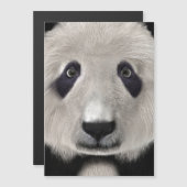 Panda Bear (Front/Back)