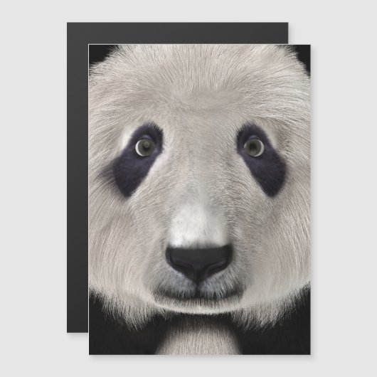 Panda Bear (Front/Back)