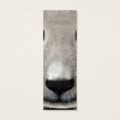 Panda Bear (Back)