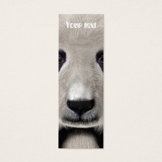 Panda Bear (Front)