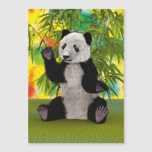 Panda Bear (Front)